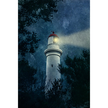Seeking Hope | Limited Edition Print