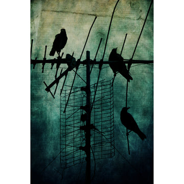 Silent Threats | Limited Edition Print