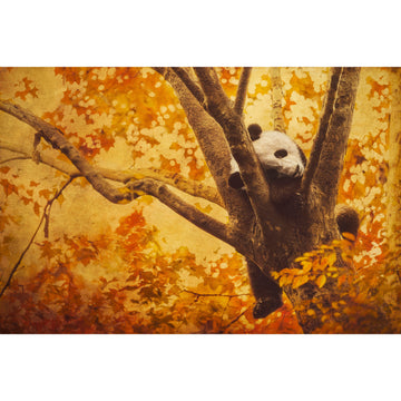 Time Out | Limited Edition Print
