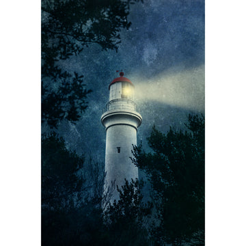 Seeking Hope | Limited Edition Print