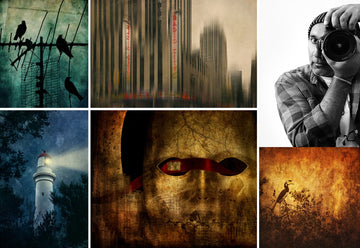 A collage of six photographs including birds, a city scene, a portrait with a camera, a lighthouse, a mask and a bird silhouette, used as the banner image for a feature blog article announcing Andrew Paranavitana’s Artshine profile.