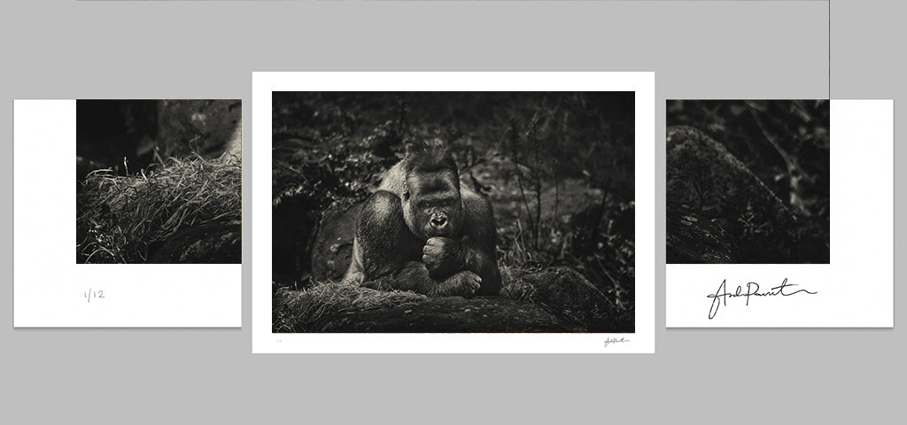 slider image slider_item_LQP3FD