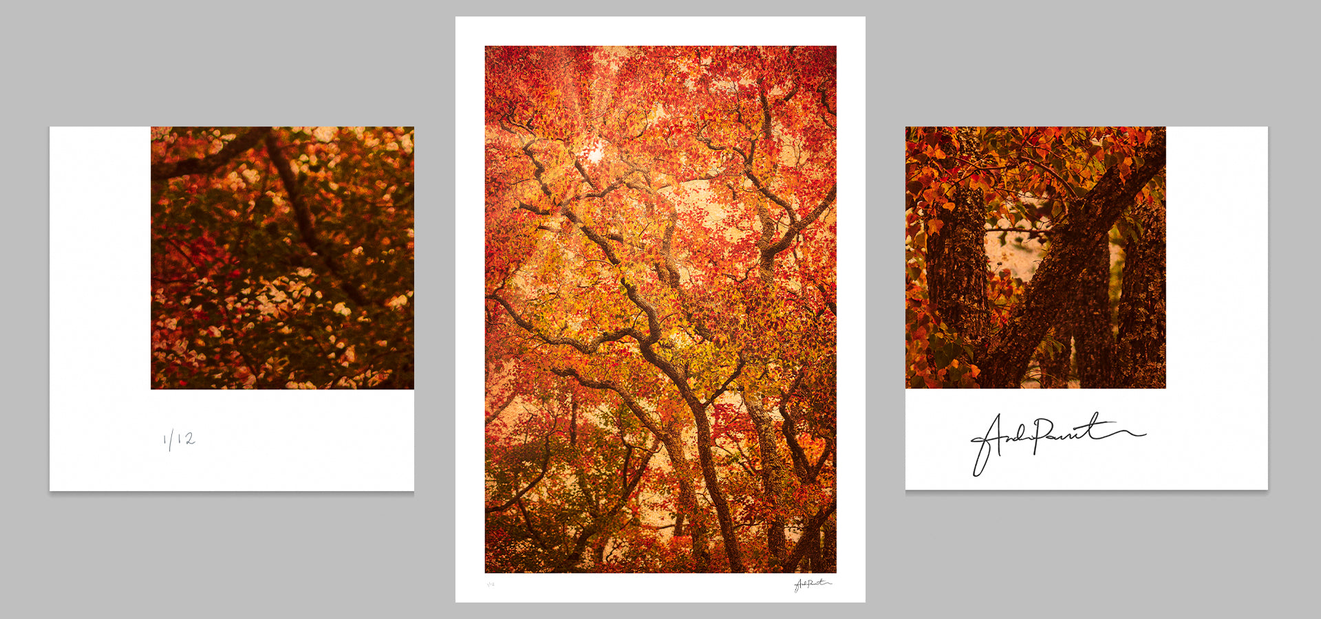 slider image slider_item_VayKmz