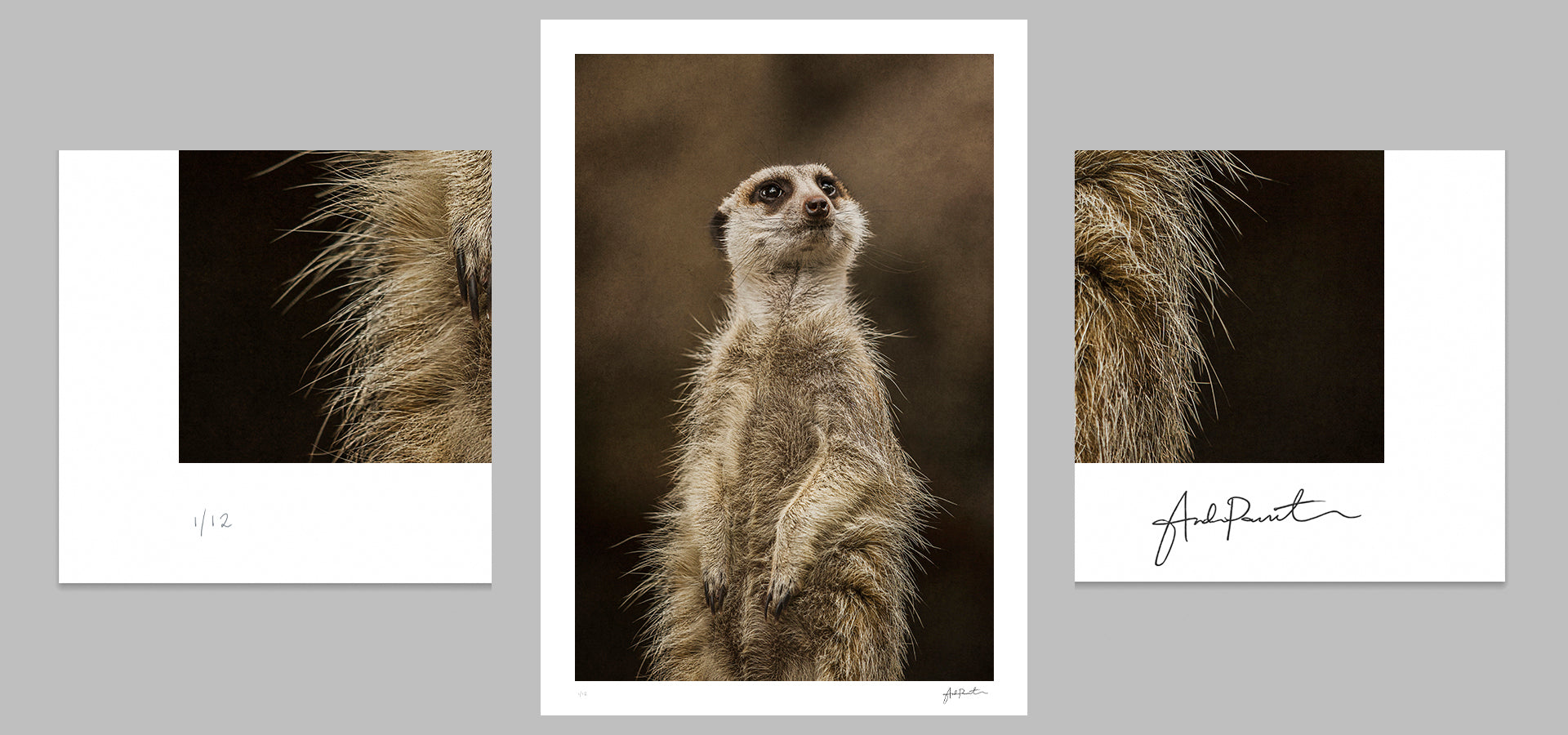 slider image slider_item_bEreQH