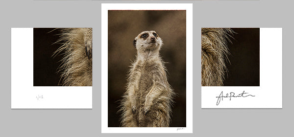 slider image slider_item_bEreQH