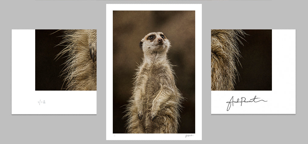 slider image slider_item_7yBgUk