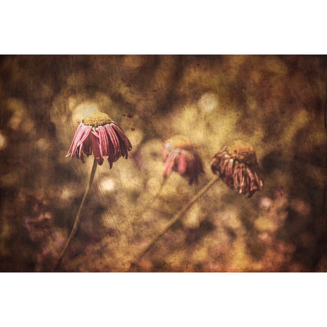 Resilience