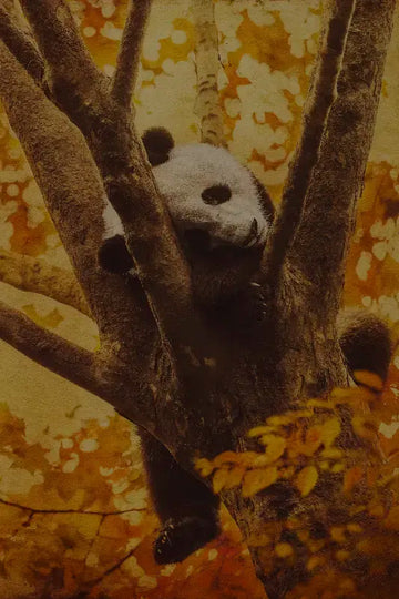 Quiet landscape photography 'Time Out' by Andrew Para, inviting stillness and meditation.