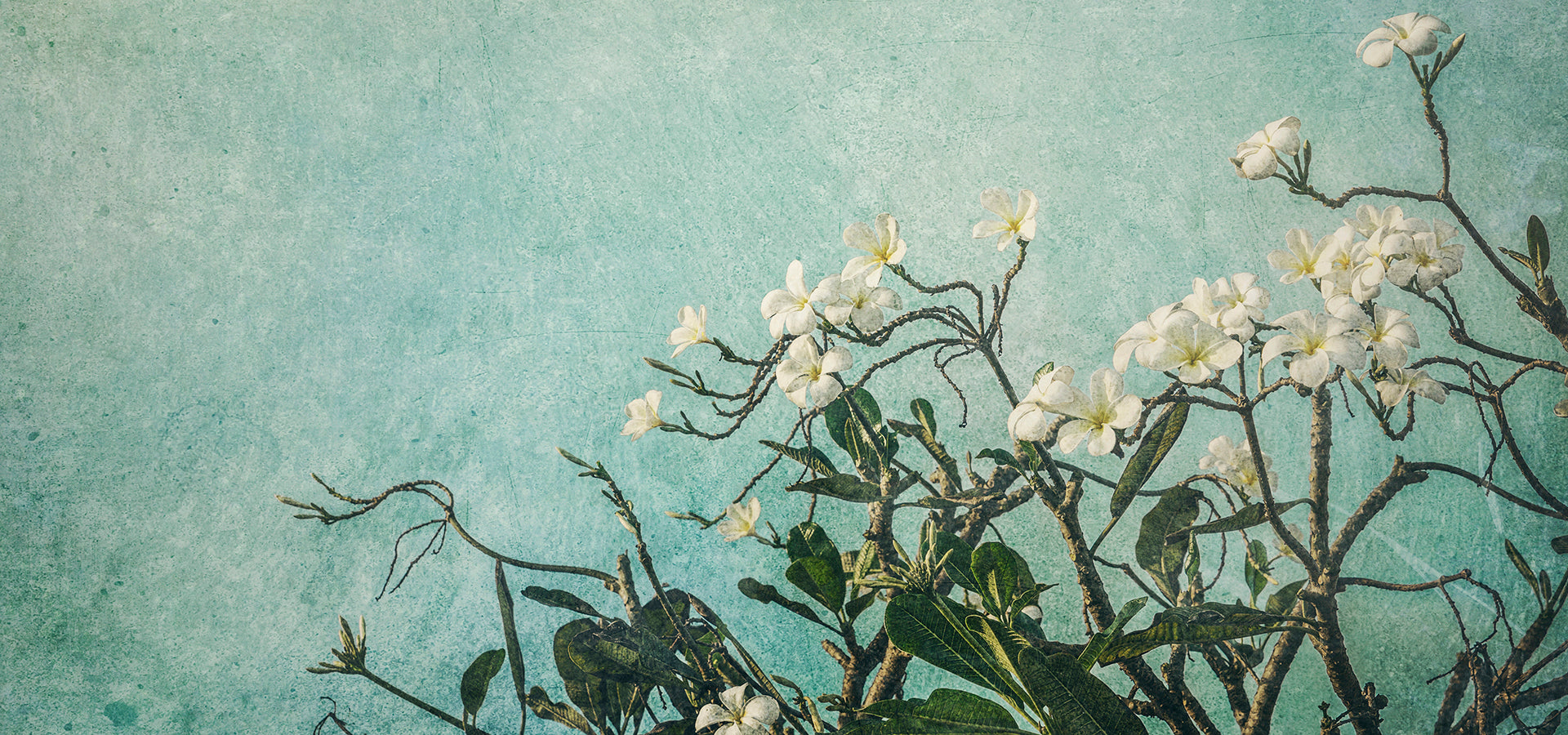 slider image slider_item_KfwGt3